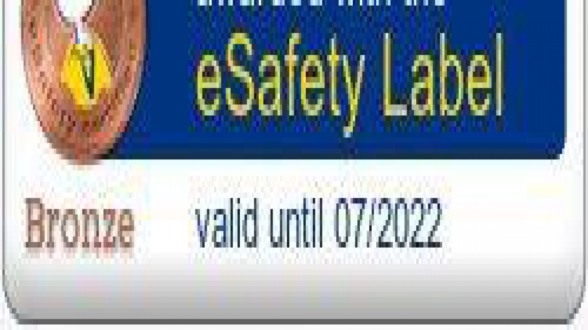 e safety label bronz etiketimiz